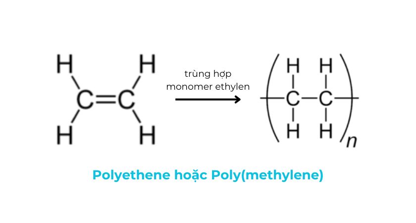 trung hop cac monomer ethylen