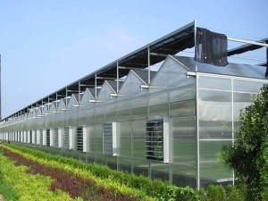 Nhà kính bằng nhựa polycarbonate